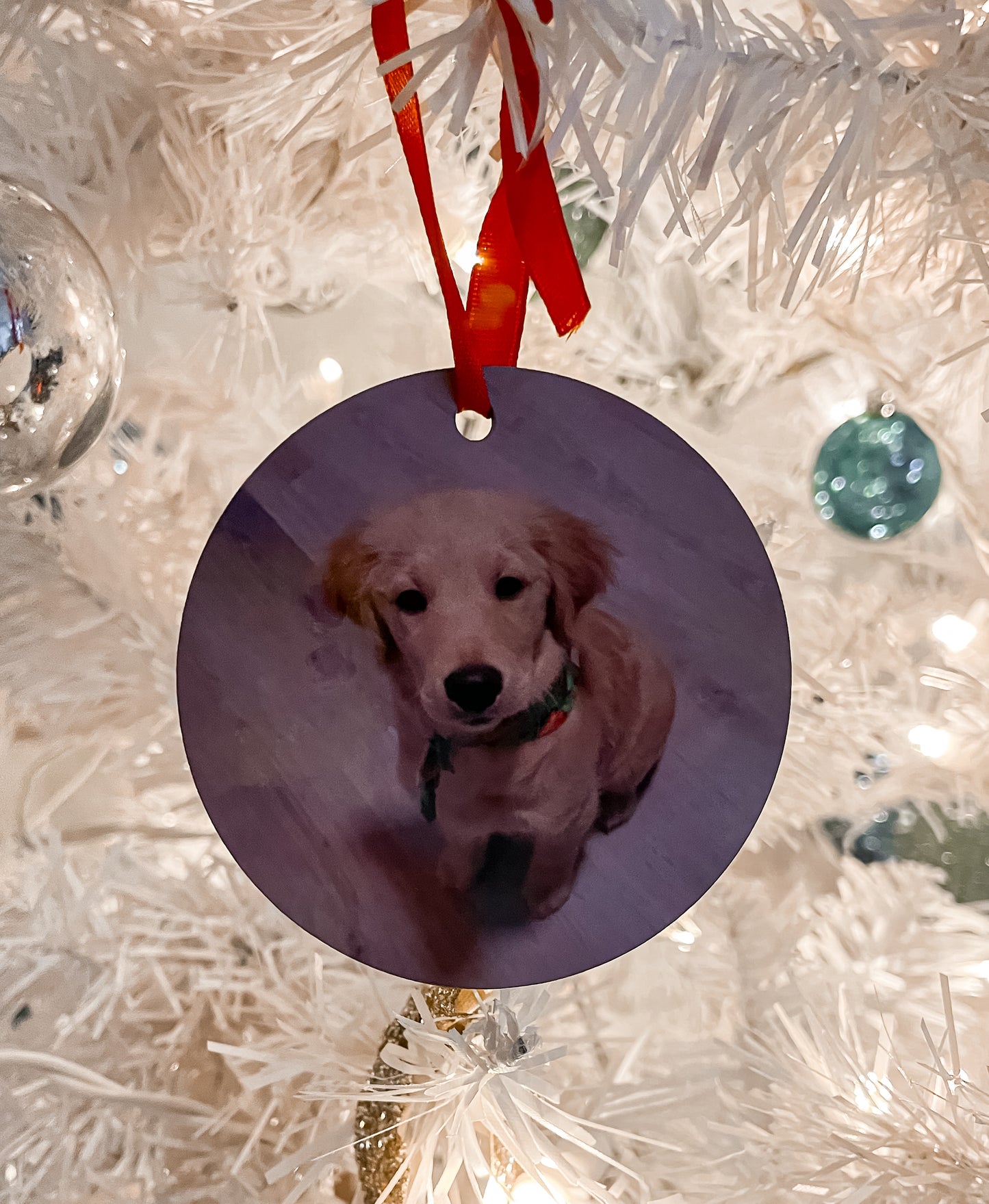 Custom Pet Ornament